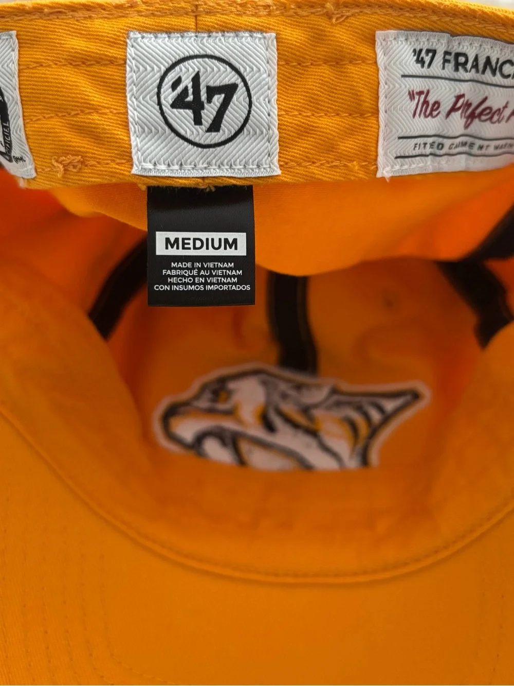 Nashville Predators '47 Brand Franchise Hat (Size Medium)
